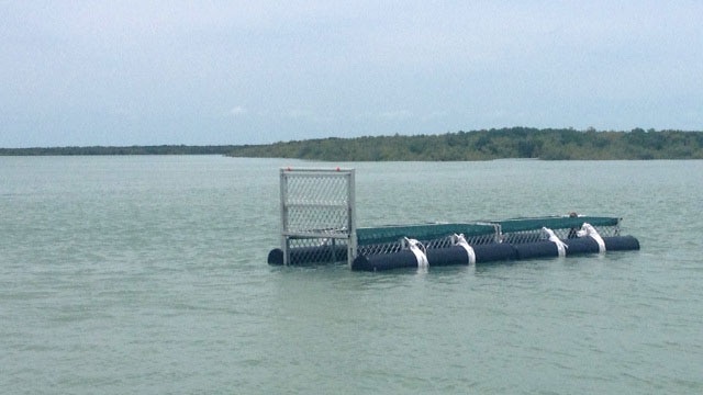 Crocodile trap in waters near Broome