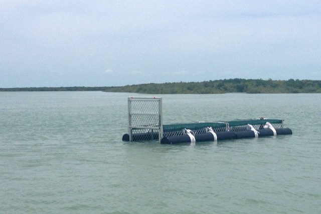 Crocodile trap in waters near Broome