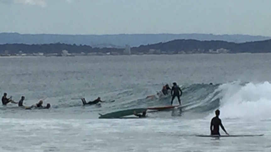 Packed Snapper Rocks