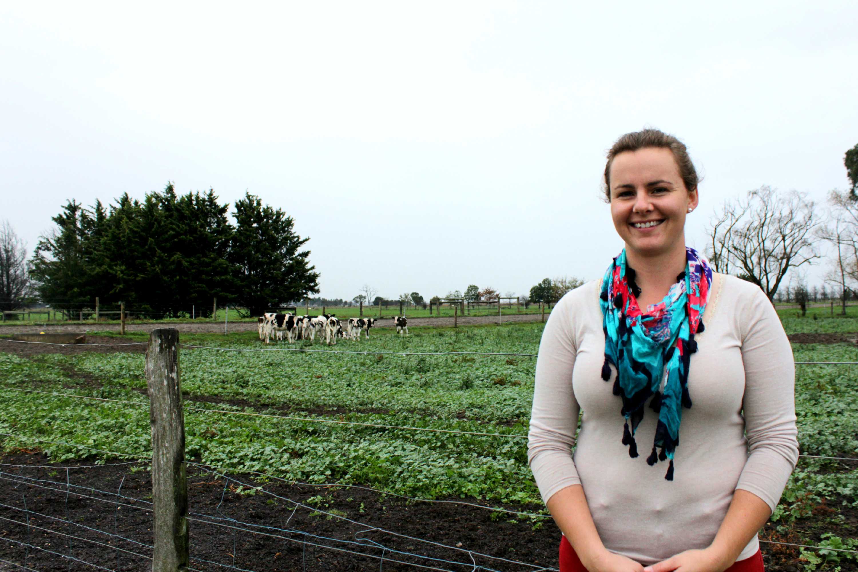 Dairy and rural life an easy sell to city students - ABC News
