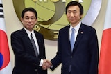 South Korea's and Japan's foreign ministers shake hands in Seoul