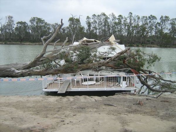 Tree crushes Murray houseboat - ABC News