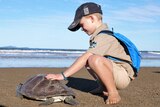 Owen khaki Australia Zoo wildlife warrior uniform squatting on the beach with his hand patting the turtle, ocean and blue sky