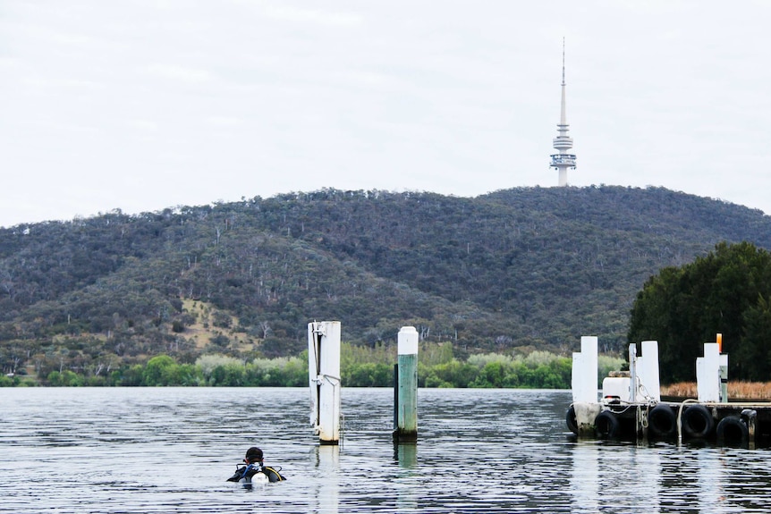 Back of scuba diver in Lake Burley Griffin with Black Mountain in the background.