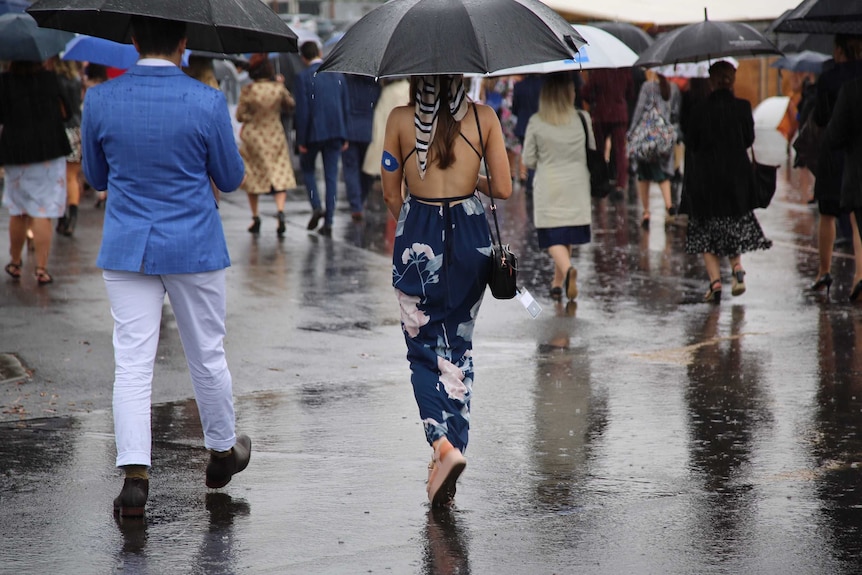 Lots of people using umbrellas walking away from the camera.