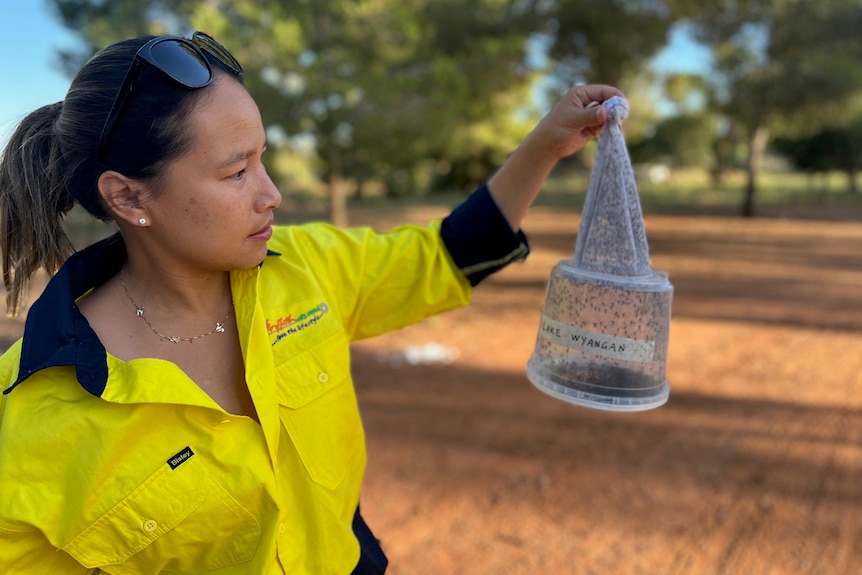 A woman in high-vis stands outside holding up a conical trap full of mosquitoes.