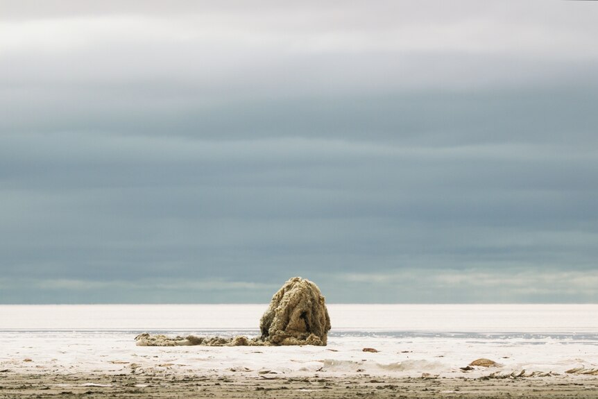 A pile of wool sits on a stark white empty flat under a grey sky.