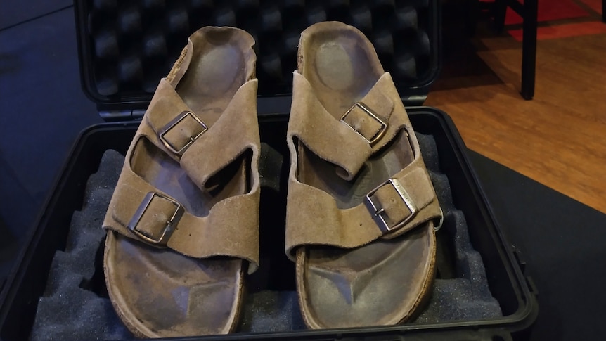 An old pair of Birkenstock sandals sit in a briefcase