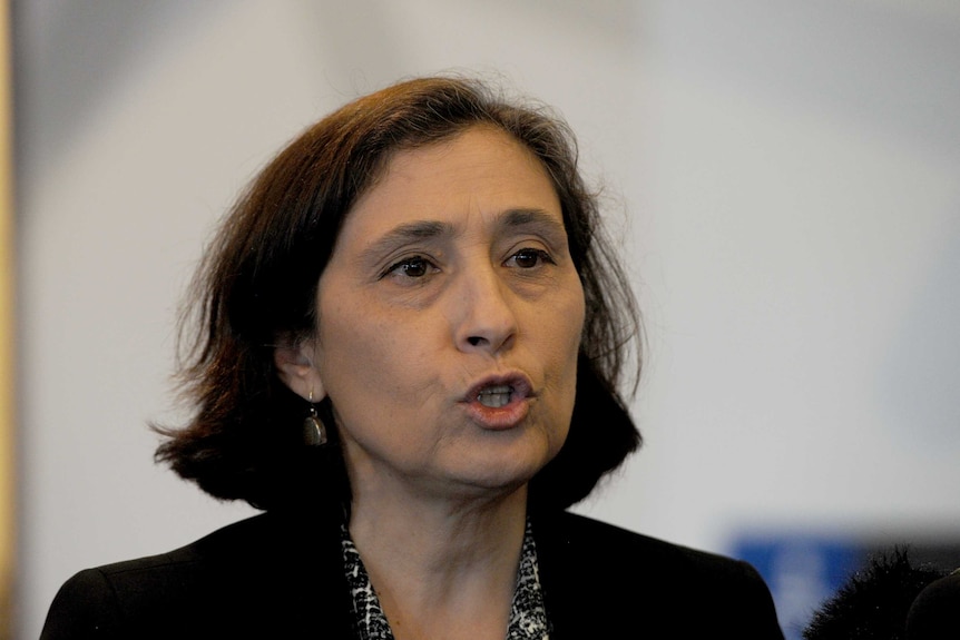 Victoria's Energy Minister Lily D'Ambrosio