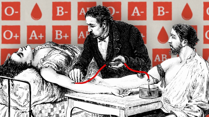 A vintage drawing of a man giving blood to a woman sick in bed with the help of a physician.