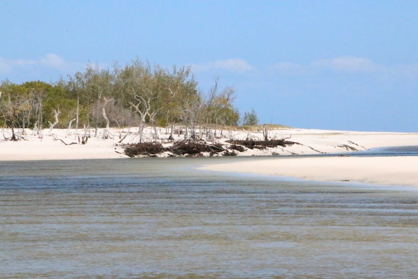 Wathumba Creek is a salt water sandy creek found on the inland side of Fraser Island.