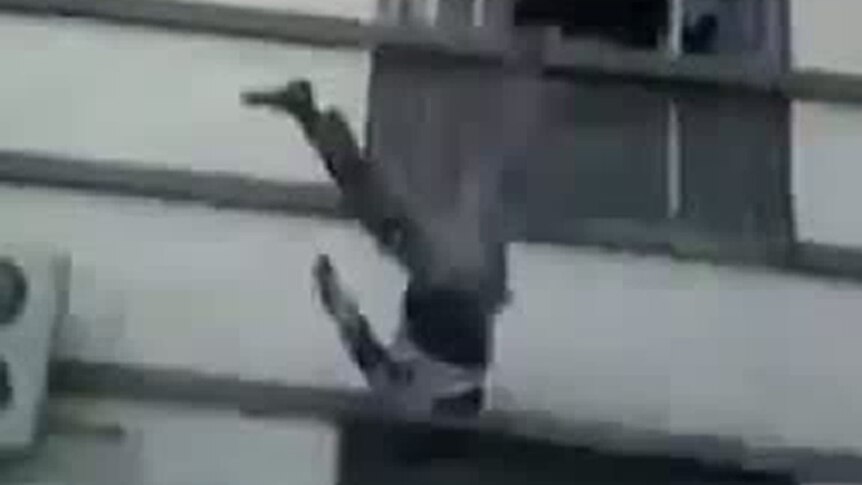 Body falling from roof in Syria