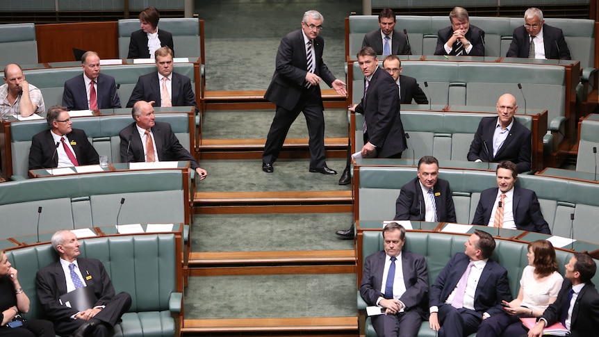 Wilkie and Oakeshott vote in Lower House