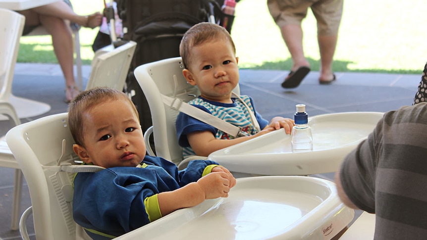 Two little boys in feeding chairs