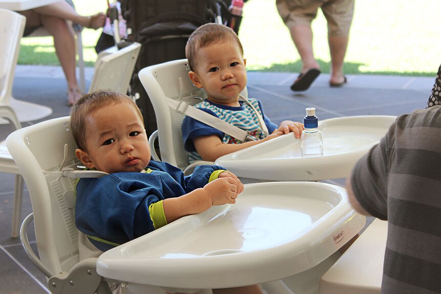 Two little boys in feeding chairs