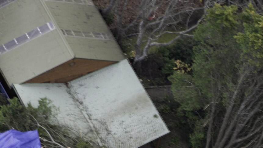 Felled trees lay on rooftops in NSW after wild weather