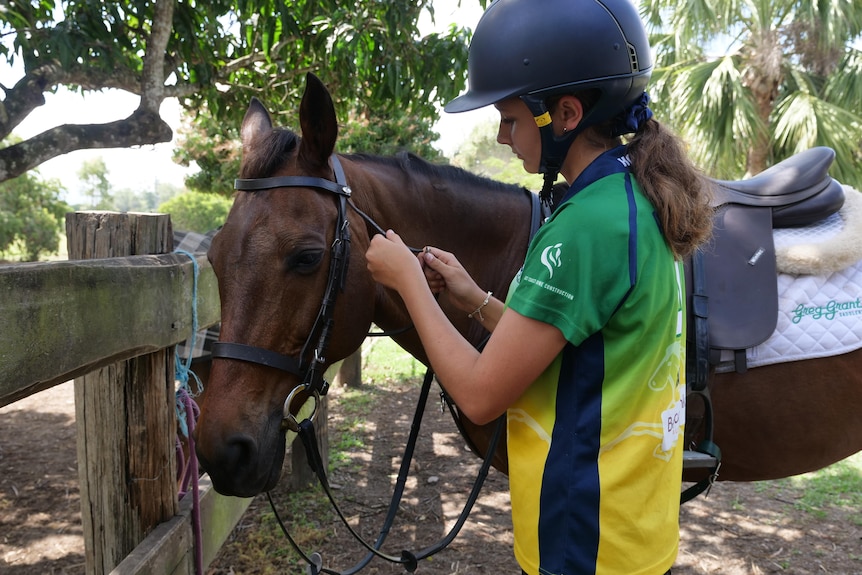 Katie Maund adjusting the harness on a brown horse