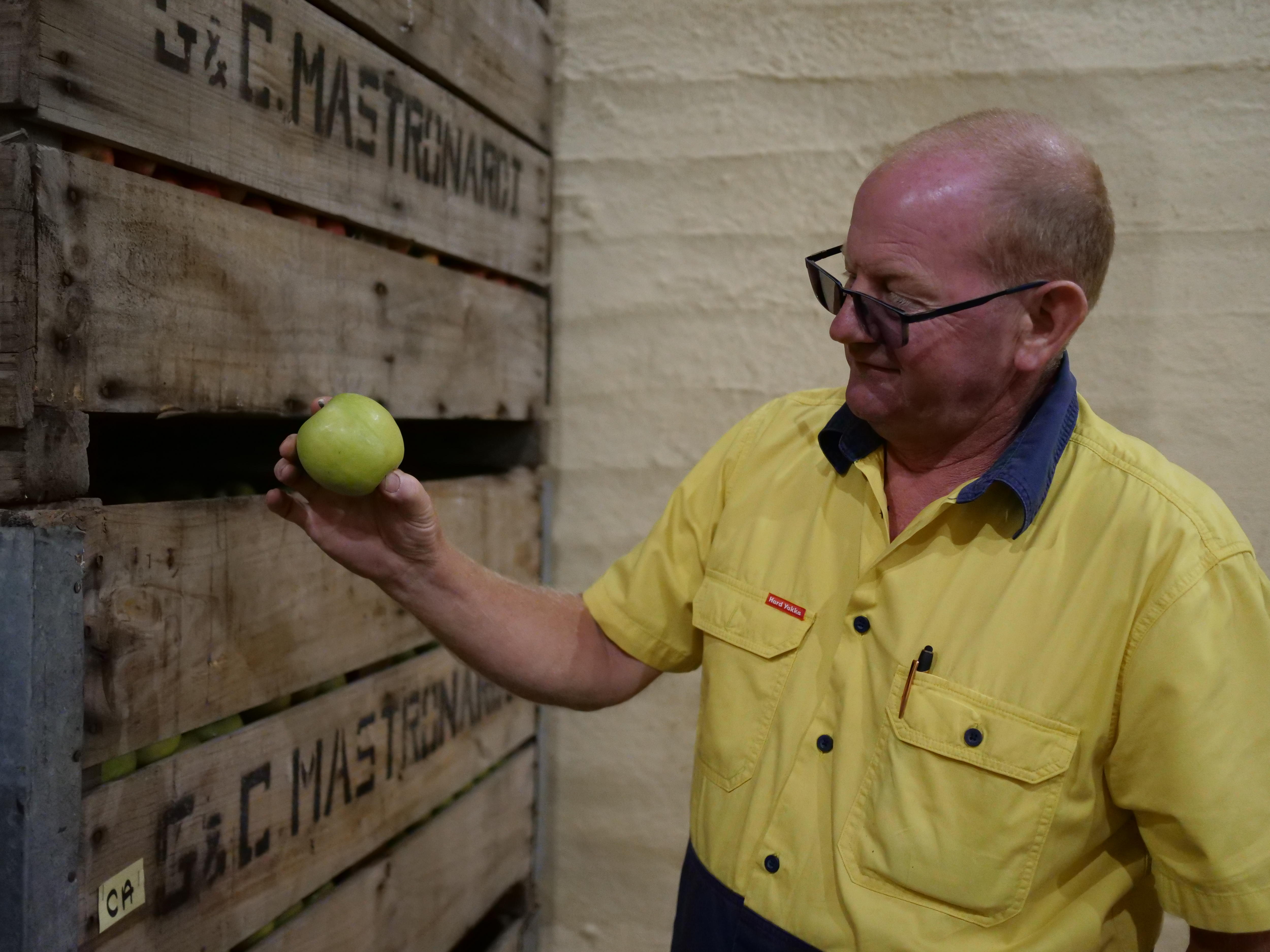 El hombre sostiene una manzana y la mira frente a cajas de madera.