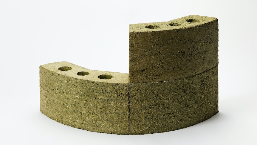 New bricks  or biomasonry made from algae biomass and oyster shell waste