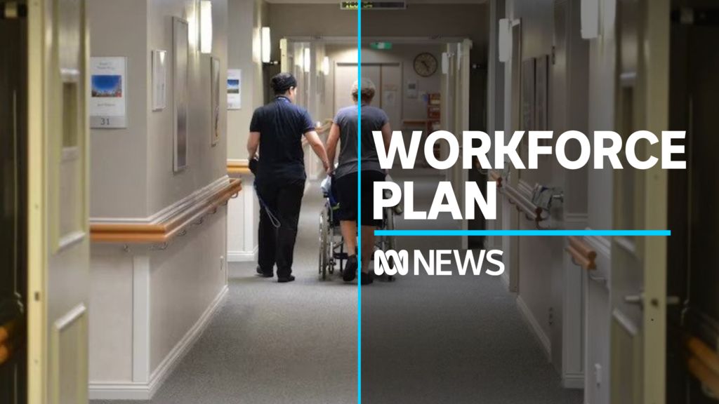 Sunday November 13 Full Program - ABC News