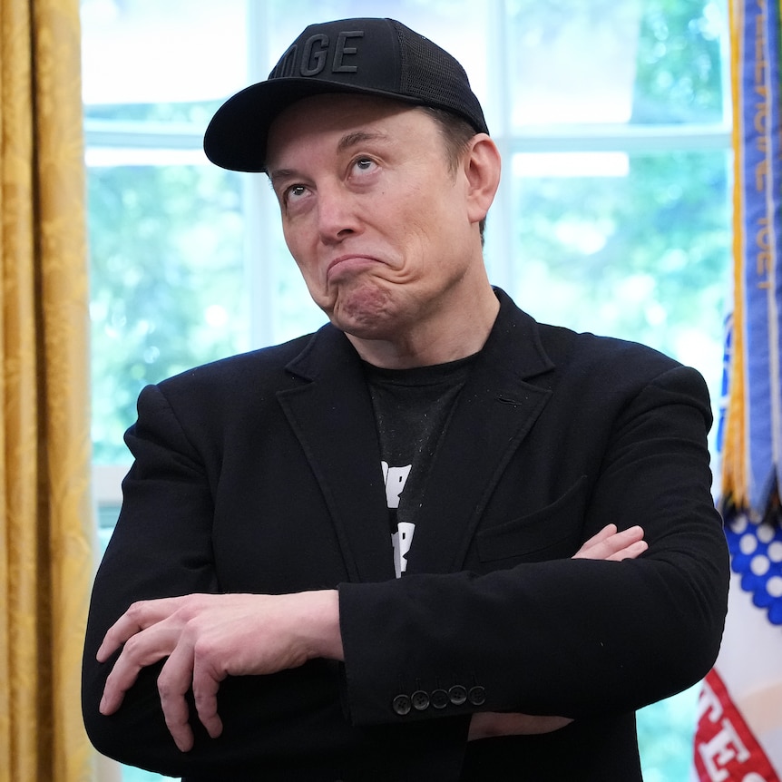 Can Elon Musk buy success for his 'America' party? - ABC listen