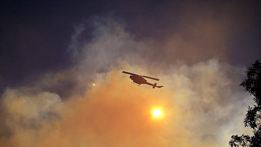 A helicopter flies over Chapman Parade in Faulconbridge.