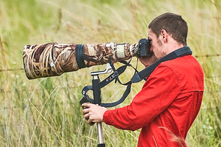 A man uses a camera though a very large lens, placed among tall grass.