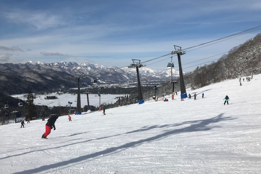 Skiers and snowboarders head down the slopes at the Japanese ski resort of Hakuba.