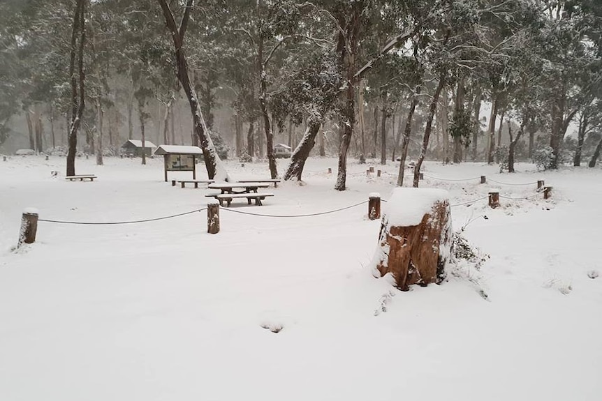 Barrington Tops snow.