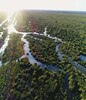 新南威尔士州西南部 Lower Murrumbidgee 绿色和涝渍的 Gayini 湿地鸟瞰图。
