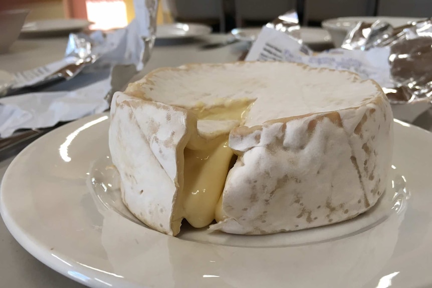 cheese on plate