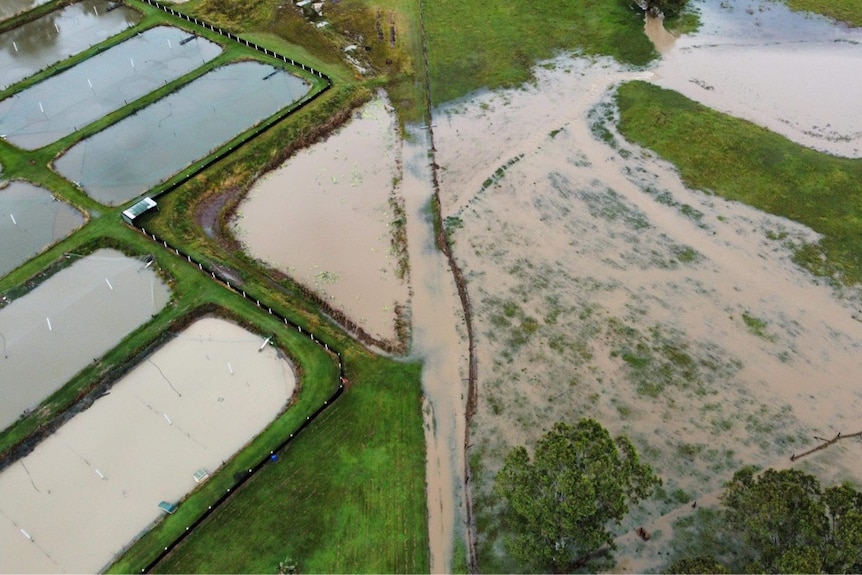 Aerial of Alba Aquaculture farm