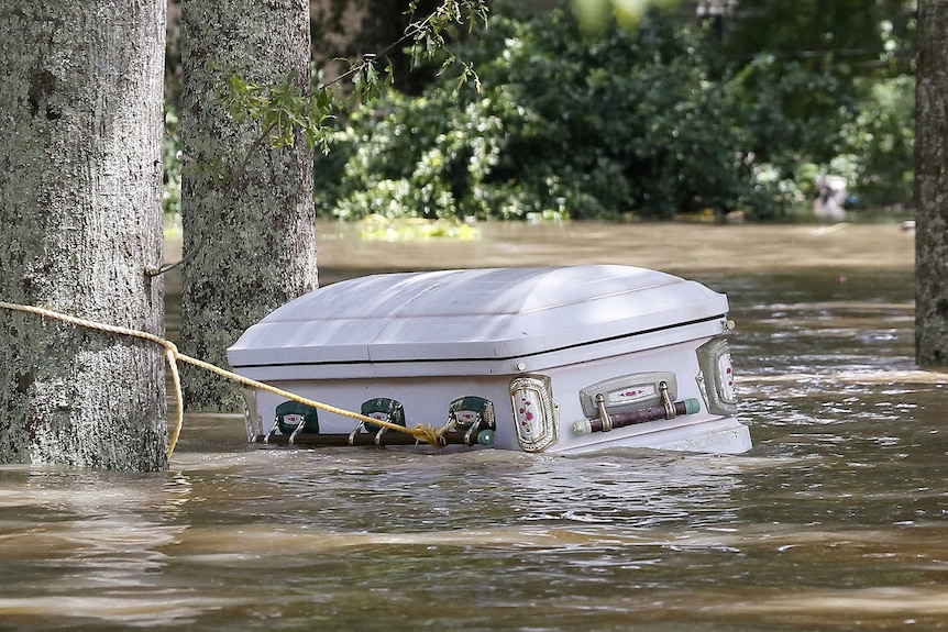 A floating white coffin tied to a tree in Lousiana.