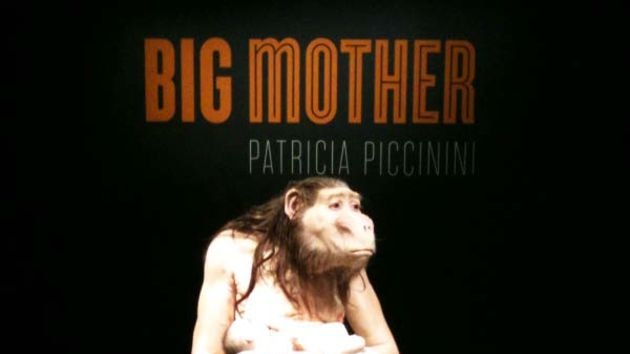 Big Mother: Patricia Piccinini's work stands 1.7 metres high.