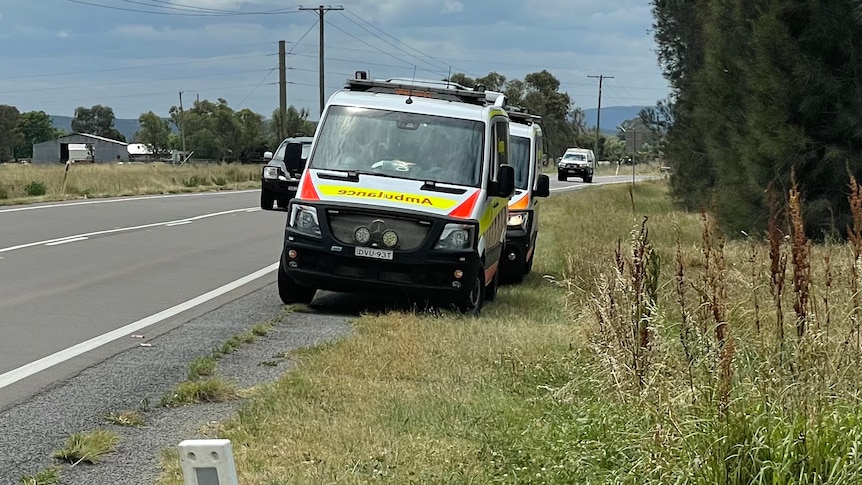 Two ambulances parked on the side of a country road beneath a cloudy sky.