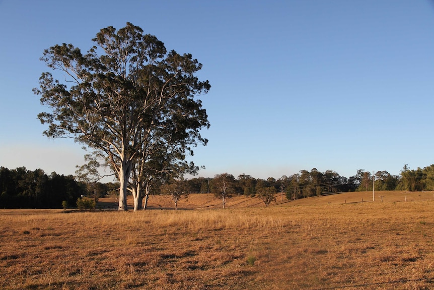 drought stricken coastal land