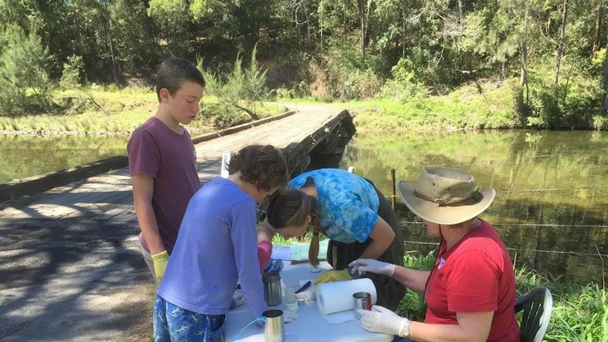School students working at a table on the banks of the Bellinger River
