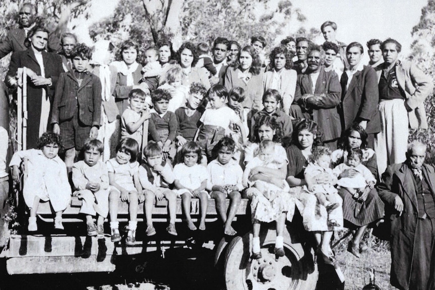Some of the families of Jacksons track stand and sit on the back of a truck with gum trees in the background 
