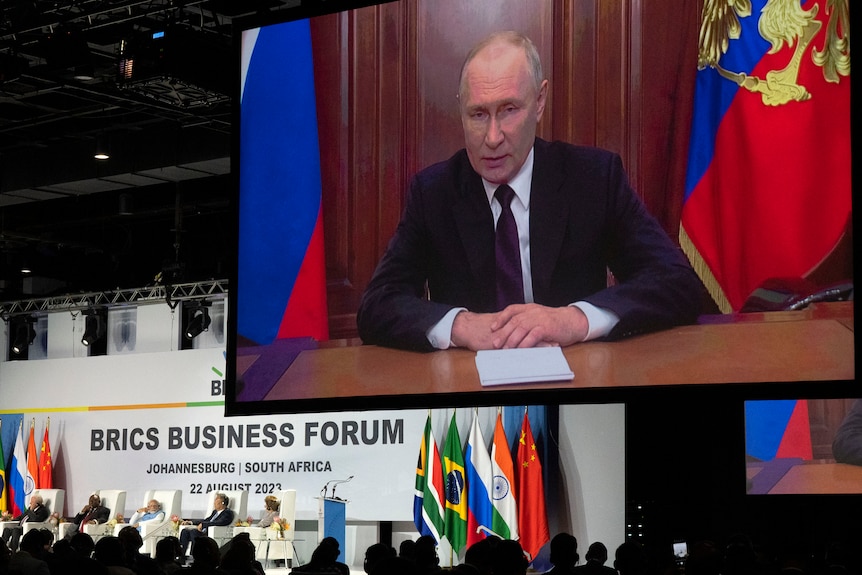 Vladimir Putin addresses a meeting from a huge video screen sitting above flags of Brazil, Russia, India, China and South Africa