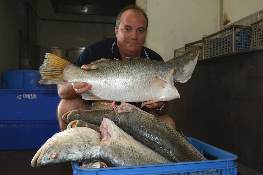 David Caracciolo from Mackay Reef Fish Supplies with a barramundi