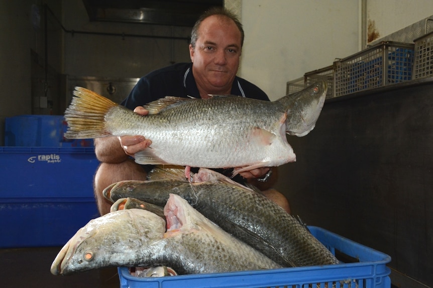 David Caracciolo from the Mackay Fish Market