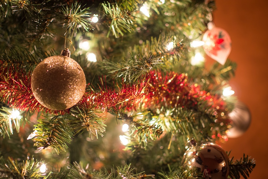 When to Take Your Christmas Tree Down, According to Experts