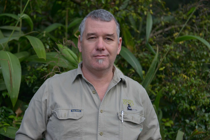 Ian Smith, vet, stands in an enclosure of Adelaide Zoo.