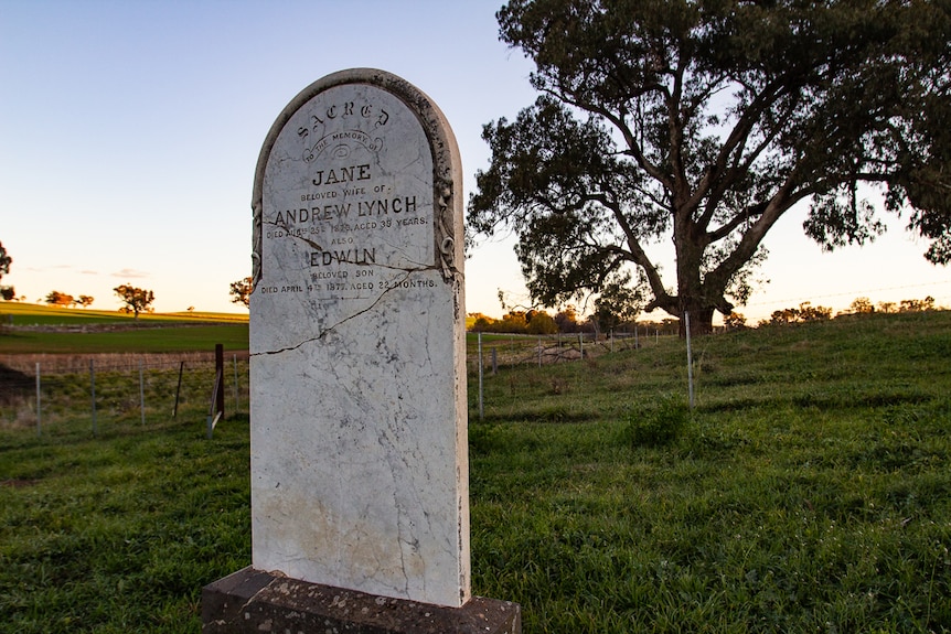 A headstone standing in a farm paddock near a tree.