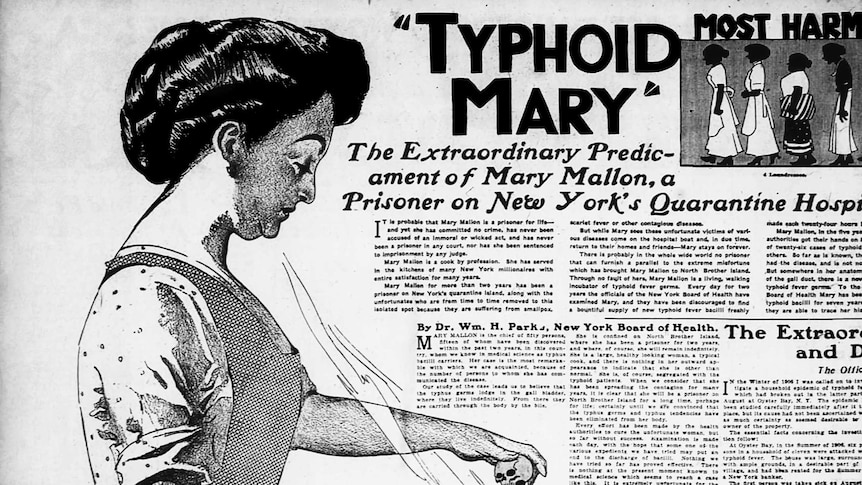 Typhoid Mary