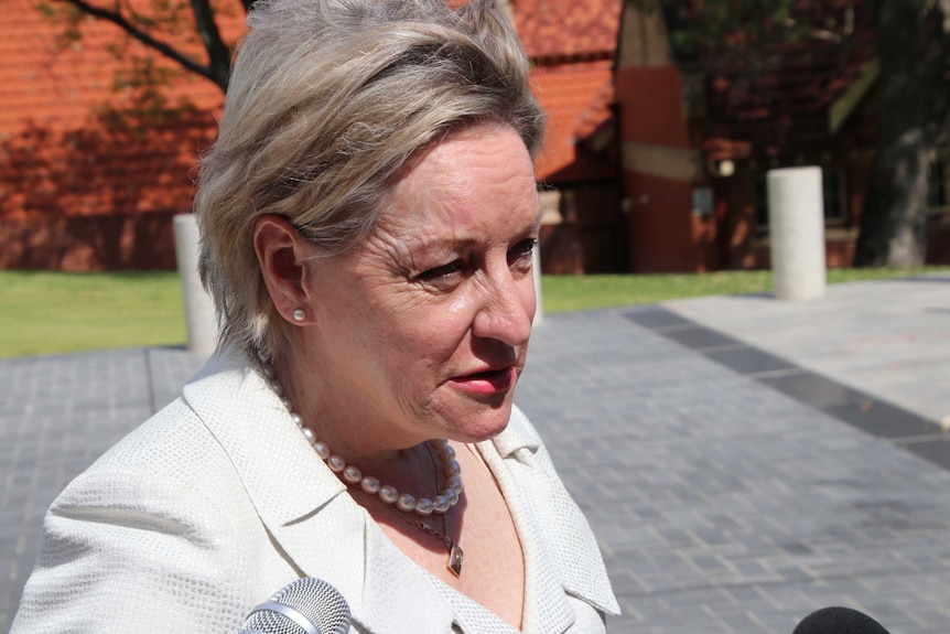 Agriculture Minister Alannah MacTiernan speaking into microphones while being interviewed by journalists