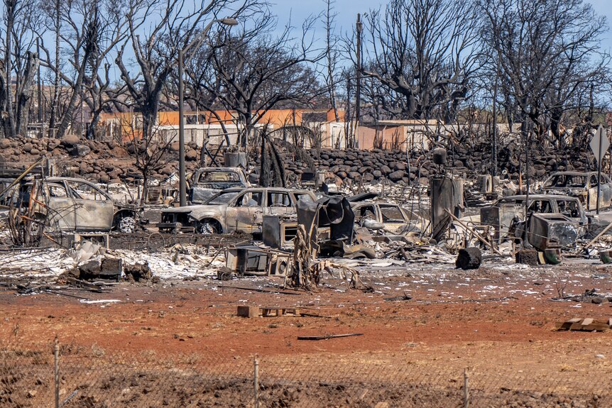 The shells of burned-out cars are seen against a backdrop of blackened trees. The ground is red dirt in the foreground.