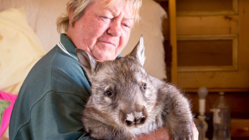 Wombat Whisper is held by Jane Budich.