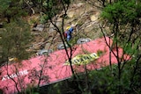 A rescue worker climbs down to a truck that crashed through a freeway safety barrier north of Sydney today.