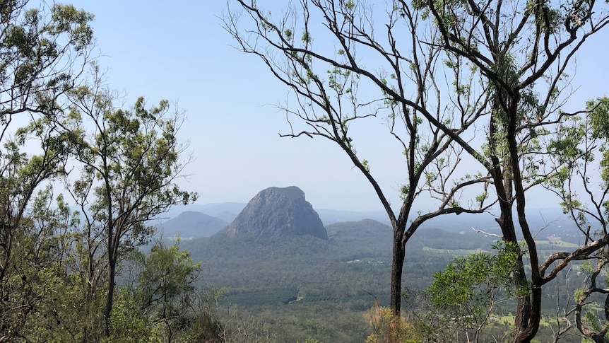 The peak of a mountain is seen in the backdrop of this  nature landscape. Trees frame the shot. 